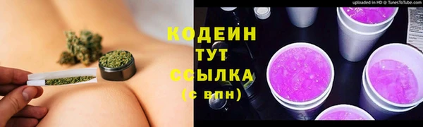 шишки Болхов