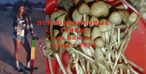 мдпв Балахна