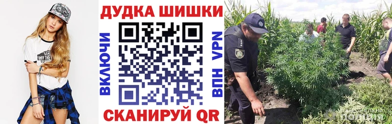 hydra онион  Буинск  Канабис индика 